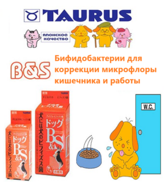 B&S – бифидобактерии taurus таурус